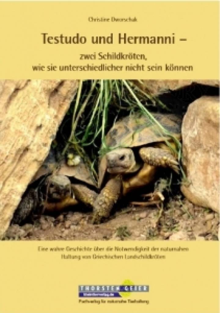 Testudo und Hermanni